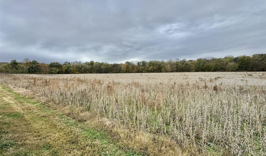 401 Duncan Rd, Alvaton, KY 42122 - 0 Beds, 0 Bath