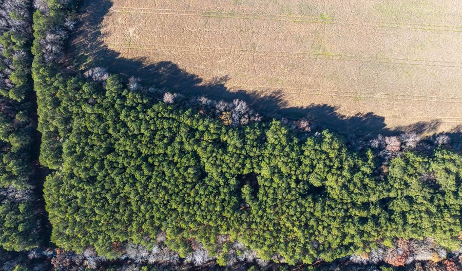 FOLLY CREEK RD, Accomac, VA 23301 - 0 Beds, 0 Bath