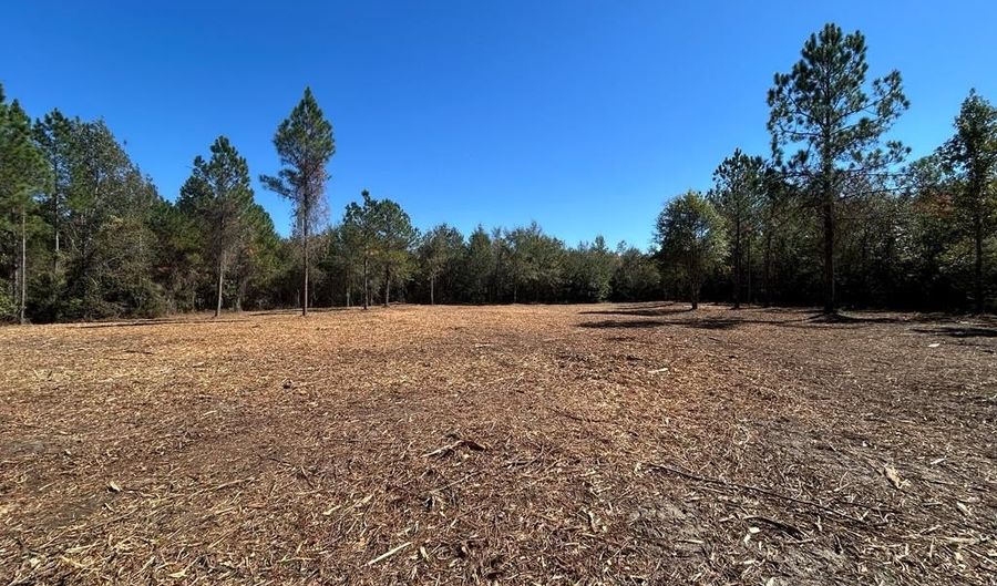 20 Ac Coot Adams Rd, Ashford, AL 36312 - 0 Beds, 0 Bath