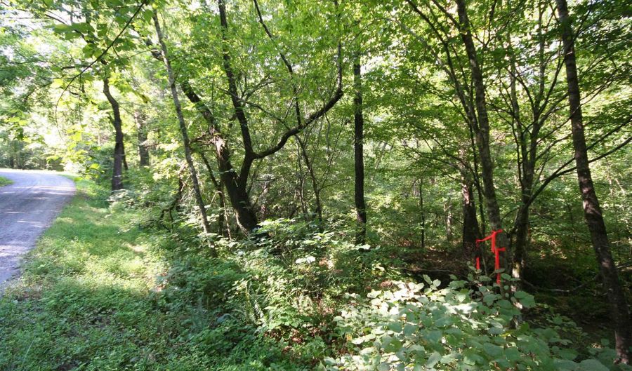 TBA BETTYS BRANCH RD X, Arvonia, VA 23004 - 0 Beds, 0 Bath