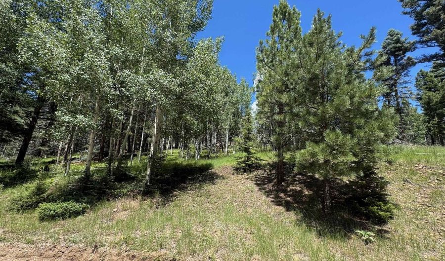 Lot 44 Calle de los Indios, Angel Fire, NM 87710 - 0 Beds, 0 Bath