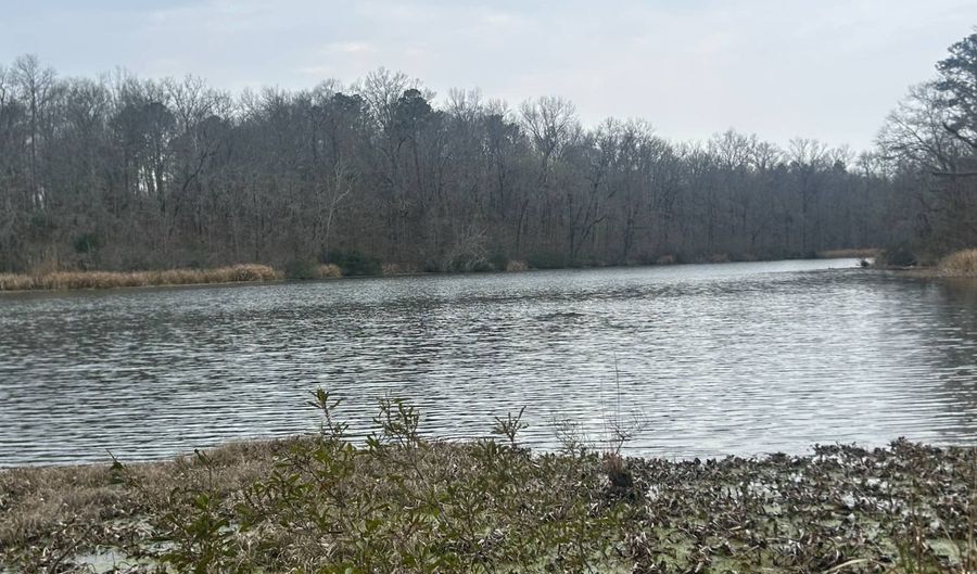 County Road 29, Alberta, AL 36720 - 0 Beds, 0 Bath
