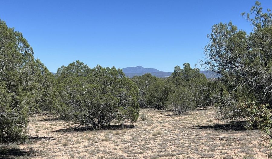 202 Cooks Trl, Ash Fork, AZ 86320 - 0 Beds, 0 Bath