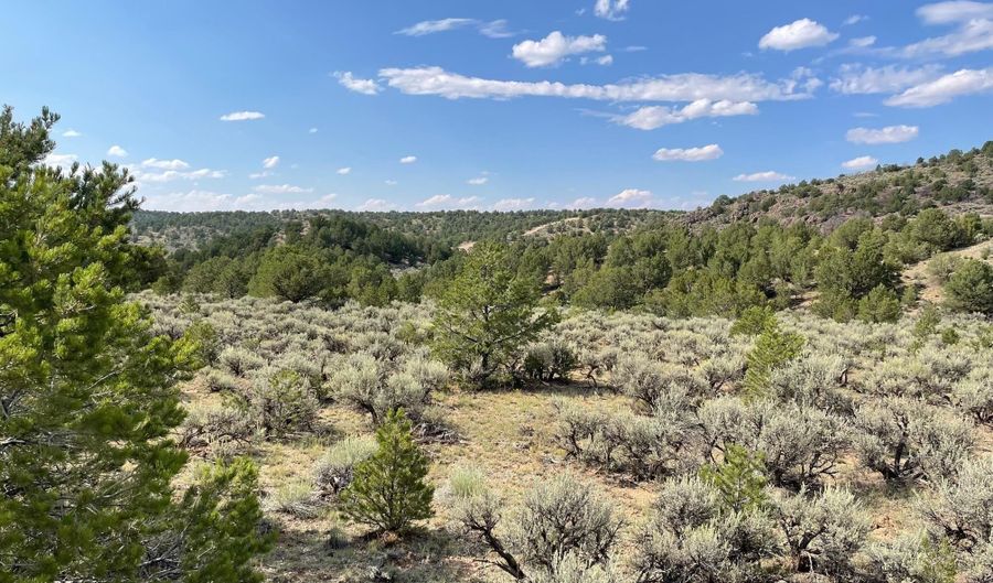 Tres Lomas, Arroyo Hondo, NM 87513 - 0 Beds, 0 Bath