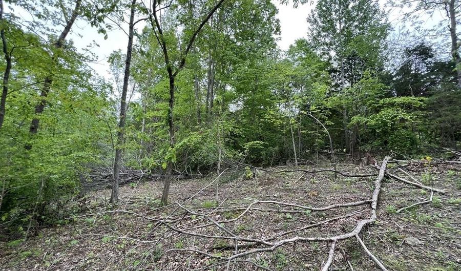 3450 E New Roe Rd, Adolphus, KY 42120 - 0 Beds, 0 Bath