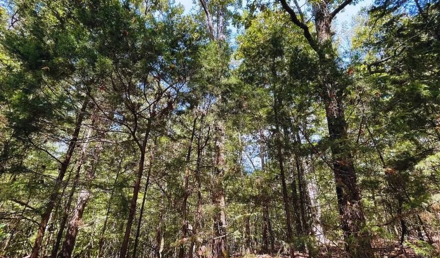 0 CR 320, Big Creek, MS 38914 - 0 Beds, 0 Bath