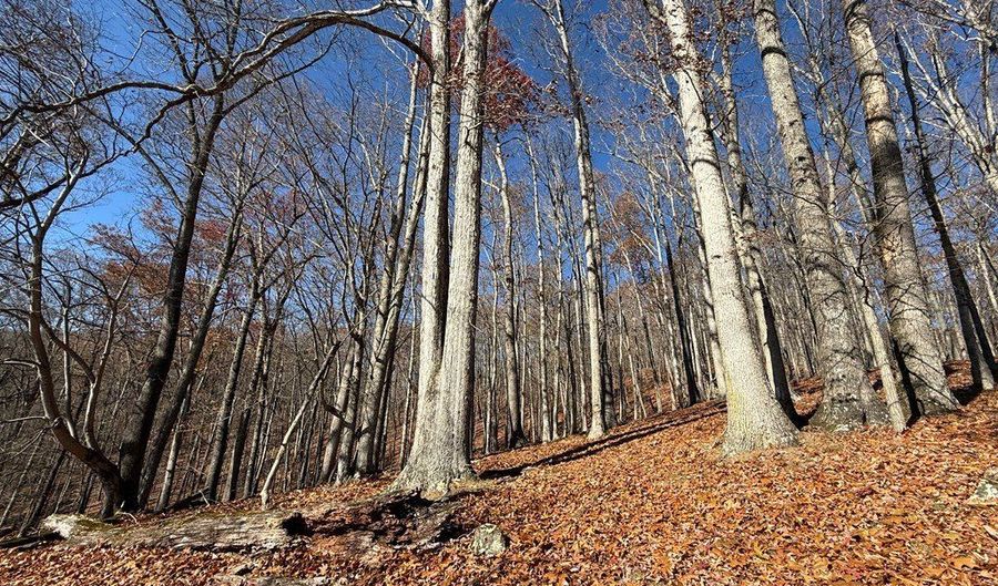 Nebo Mountain Rd. lot Multiple, Atkins, VA 24311 - 0 Beds, 0 Bath