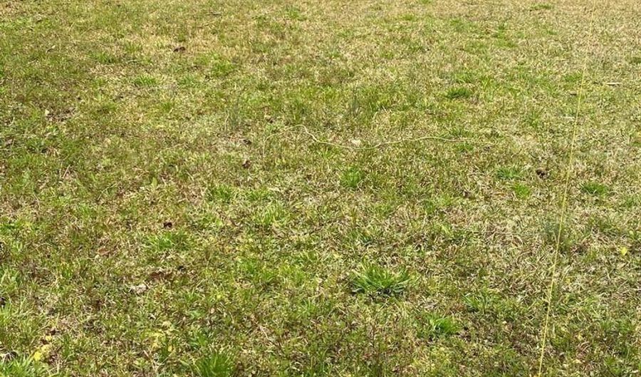 114 Magnolia St, Bonneau, SC 29431 - 0 Beds, 0 Bath