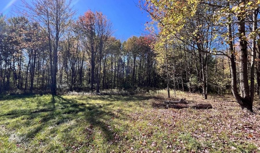 1235 White Hill Rd, Alma, NY 14715 - 0 Beds, 0 Bath