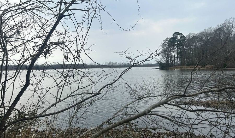 County Road 29, Alberta, AL 36720 - 0 Beds, 0 Bath