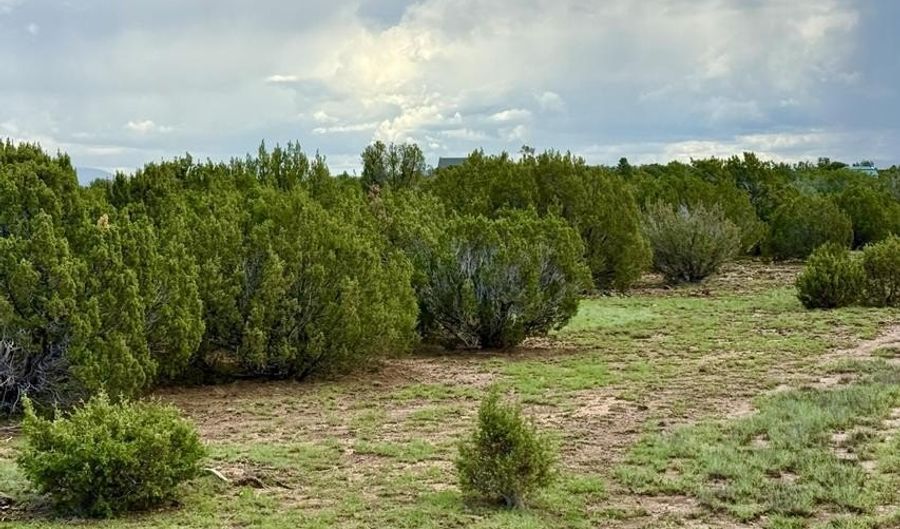85 CR 8128 Lots 100 101 & 108, Concho, AZ 85924 - 0 Beds, 0 Bath