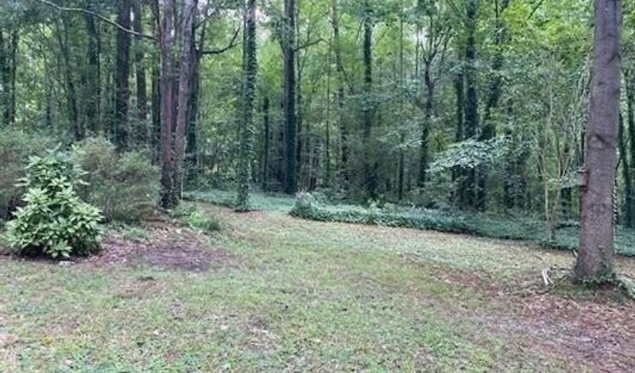 8017 Monitor Ct, Apex, NC 27539 - 3 Beds, null Bath