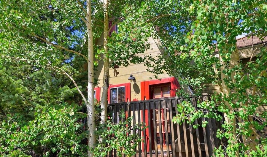 1155 COUNTY ROAD 6, Alma, CO 80420 - 2 Beds, 2 Bath