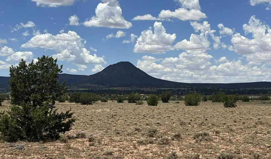 59 Rocky Rabbit Rd, Ash Fork, AZ 86320 - 0 Beds, 0 Bath