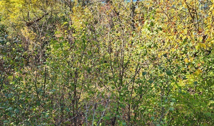 0 S760 Cleveland St Lot 13, Winfield, IL 60190 - 0 Beds, 0 Bath