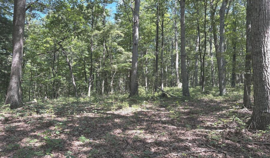 5 05 AC HOY Rd, Augusta, WV 26704 - 0 Beds, 0 Bath