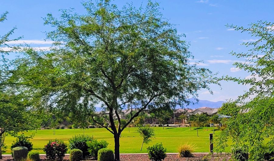 10830 W HADLEY St, Avondale, AZ 85323 - 3 Beds, 3 Bath