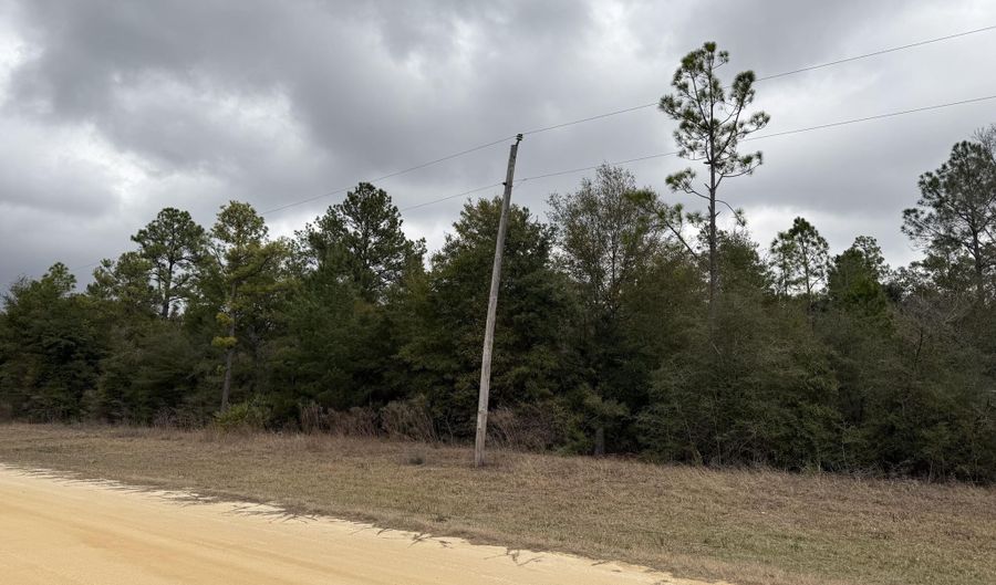 Russell Avenue, Alford, FL 32420 - 0 Beds, 0 Bath