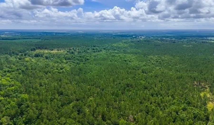 1990 River Rd, Bainbridge, GA 39817 - 0 Beds, 0 Bath
