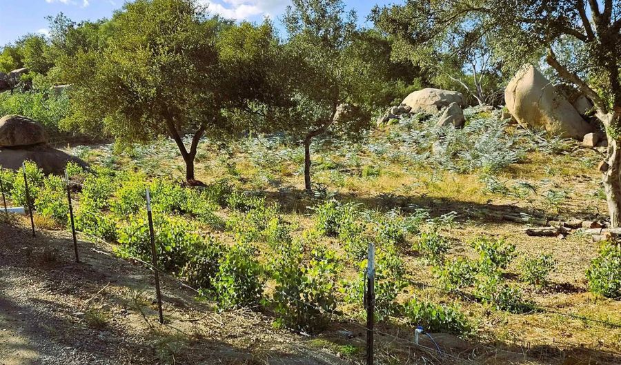 2562 Donnil Ln 102-081-05-00, Fallbrook, CA 92028 - 0 Beds, 0 Bath