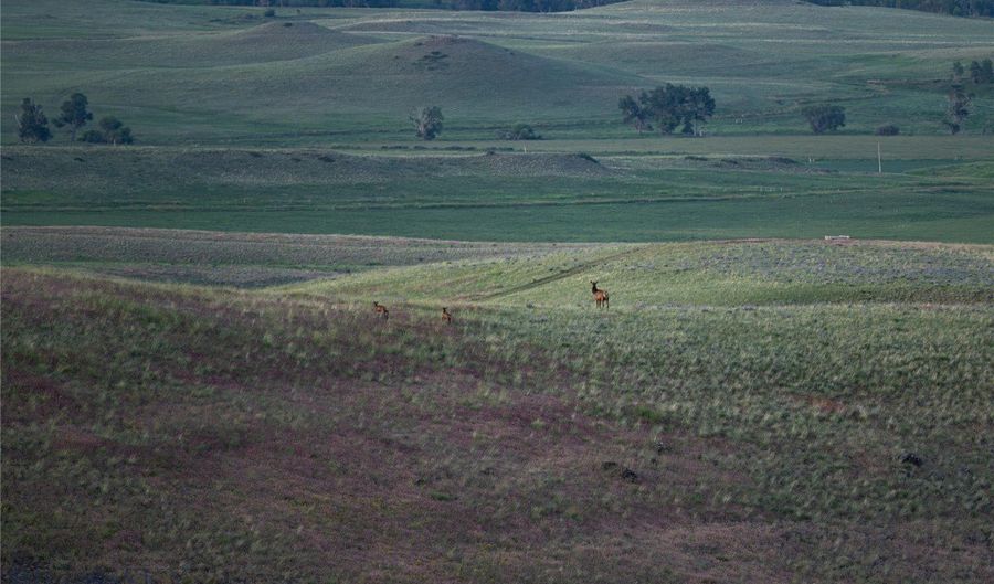 287 Spring Creek Rd, Absarokee, MT 59001 - 0 Beds, 0 Bath