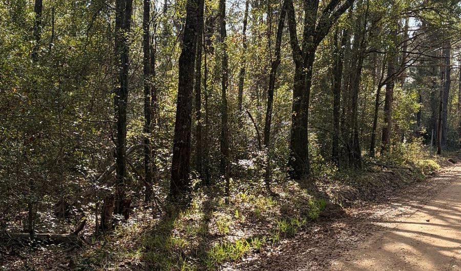 Old Faceville Rd lot # 4, Bainbridge, GA 39819 - 0 Beds, 0 Bath