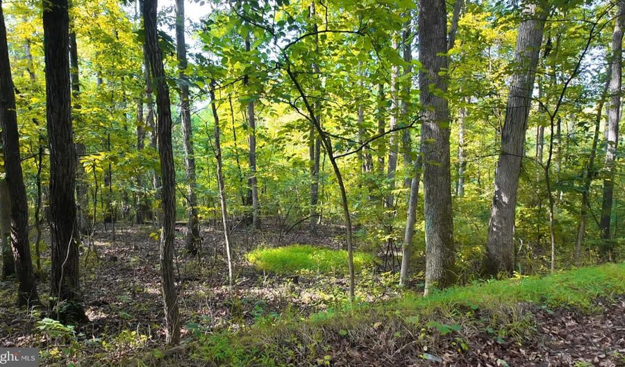 Lot 42 SHALE HILL LANE, Augusta, WV 26704 - 0 Beds, 0 Bath