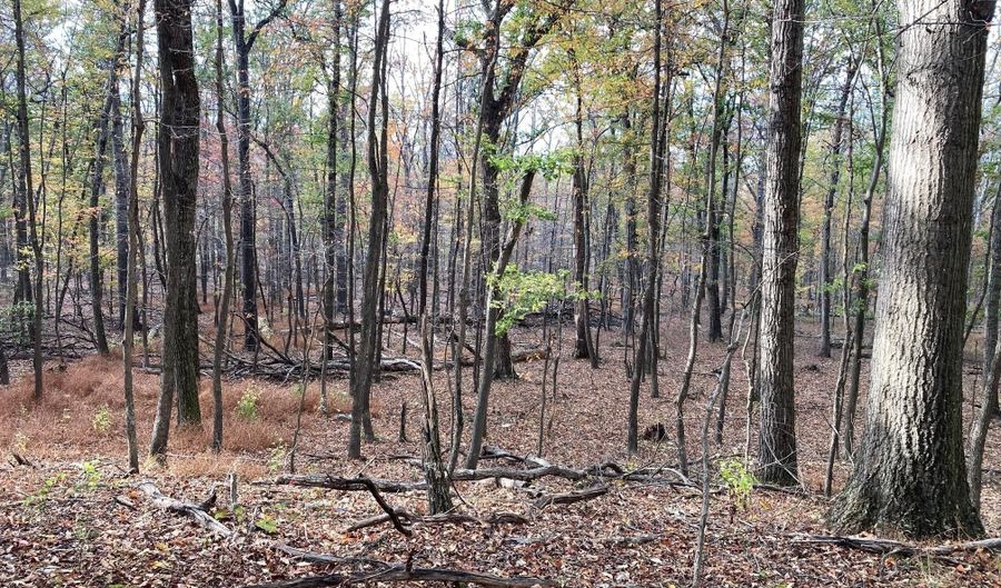 BIG HORN Trail, Augusta, WV 26704 - 0 Beds, 0 Bath