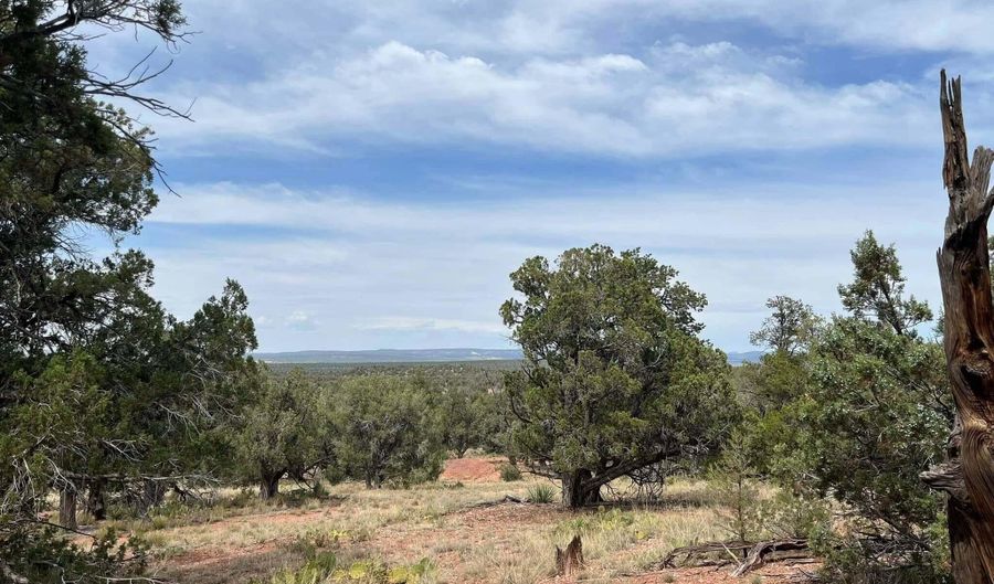 488 B & C Scorpion, Ash Fork, AZ 86320 - 0 Beds, 0 Bath