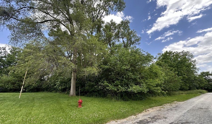 11809 S Millard Ave, Alsip, IL 60803 - 0 Beds, 0 Bath
