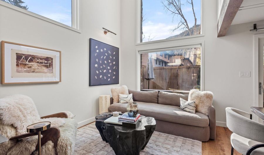 1024 E Cooper Ave 1, Aspen, CO 81611 - 2 Beds, 2 Bath