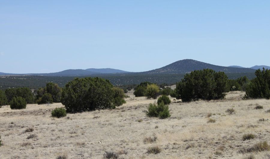 36 County Road 8249, Concho, AZ 85924 - 0 Beds, 0 Bath