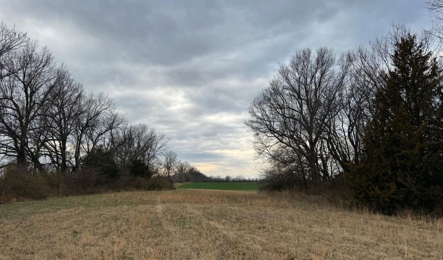 County Road 270, Asbury, MO 64832 - 0 Beds, 0 Bath