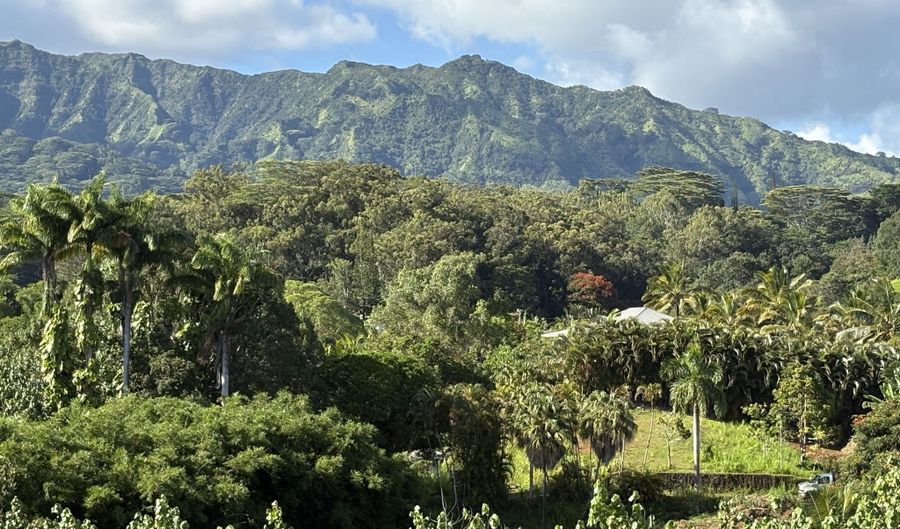 6631- A KIPAPA Rd, Kapaa, HI 96746 - 1 Beds, 1 Bath