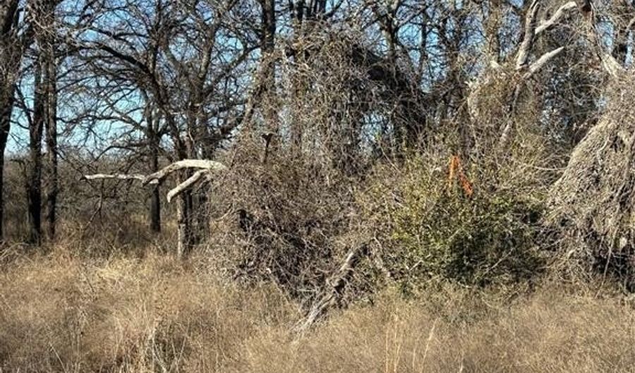 1190 N State HWY 220, Hico, TX 76457 - 0 Beds, 0 Bath