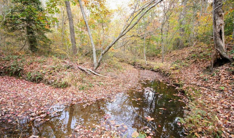 TBA RIDGE RD 1, Arvonia, VA 23004 - 0 Beds, 0 Bath