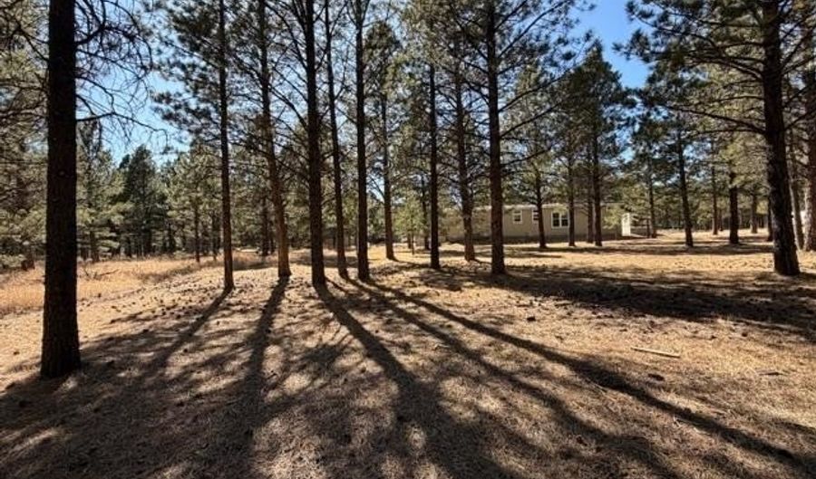8 Pine Top Ln, Angel Fire, NM 87710 - 3 Beds, 2 Bath