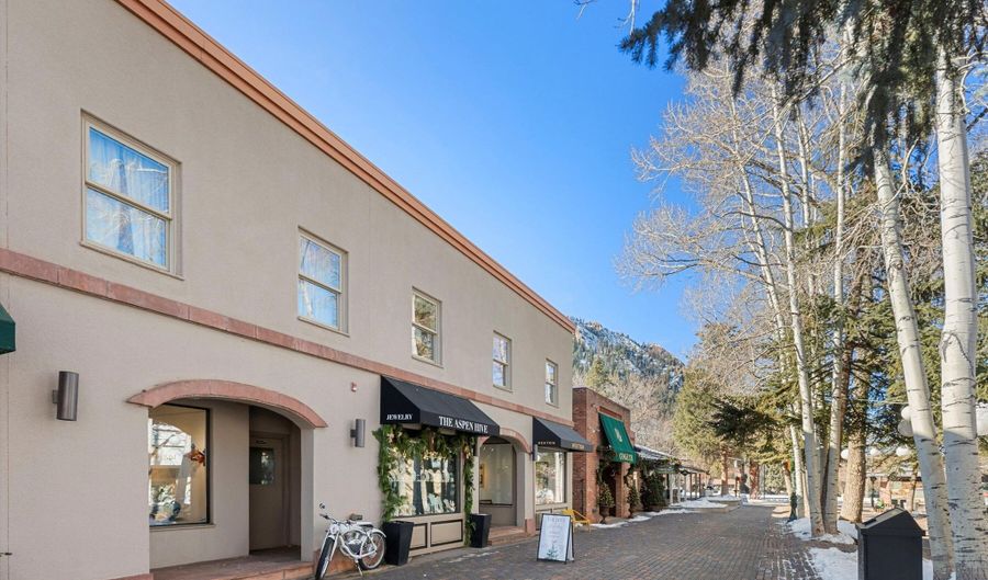 447 E Cooper Ave 1, Aspen, CO 81611 - 3 Beds, 3 Bath