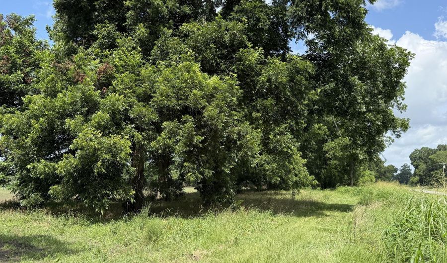 Seven Arpents Road, Arnaudville, LA 70512 - 0 Beds, 0 Bath