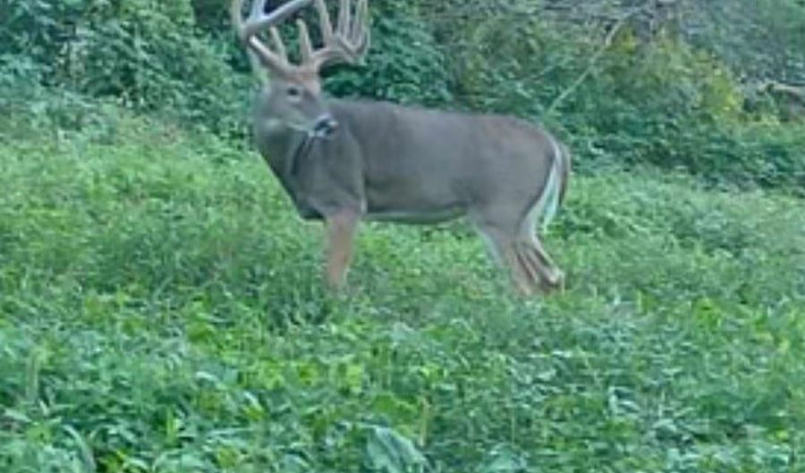 Lot 4 Prairie View Road, Argyle, WI 53504 - 0 Beds, 0 Bath