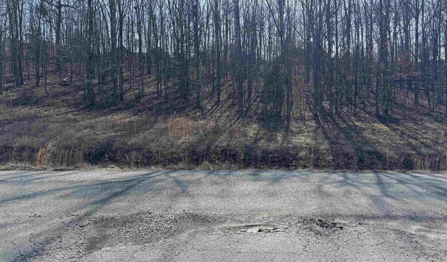 Lot 58 Rainbow Lake Road, Austin, AR 72007 - 0 Beds, 0 Bath