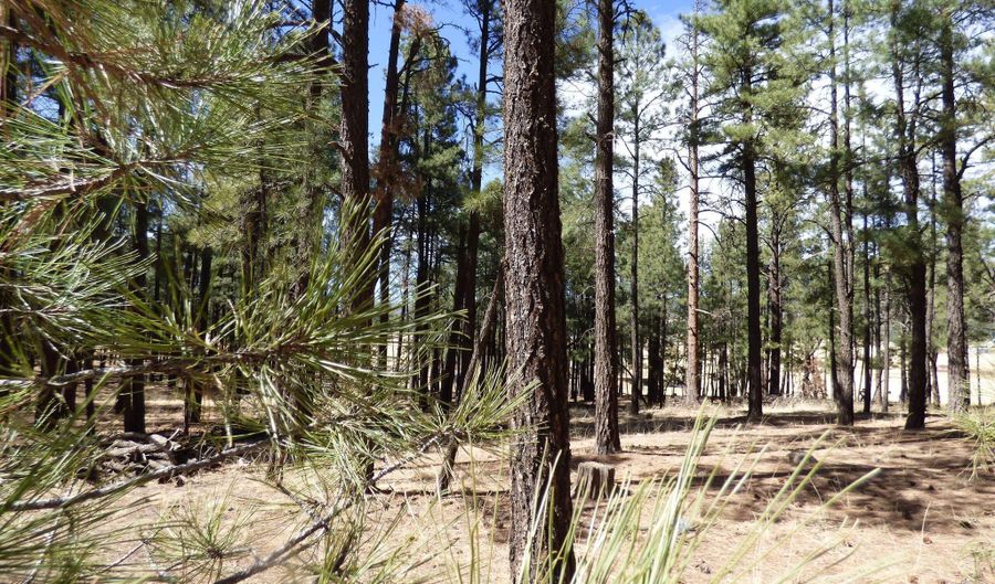 8 B County Road 2267 Escudilla Rd, Alpine, AZ 85920 - 0 Beds, 0 Bath