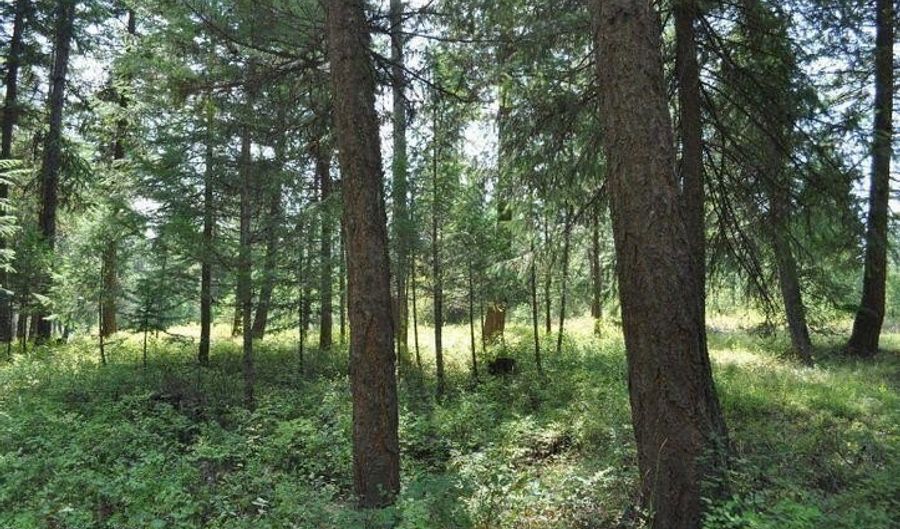 39 Forest Ridge Rd, Blanchard, ID 83804 - 0 Beds, 0 Bath