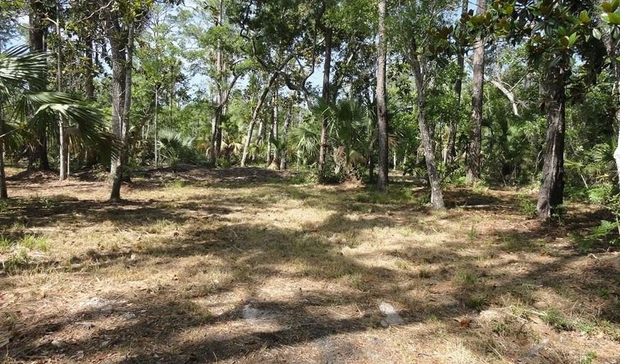114 Melanie Ln, Apalachicola, FL 32320 - 0 Beds, 0 Bath
