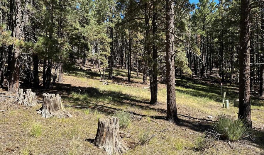 Lot 7 Blk D St Andrews Way, Angel Fire, NM 87710 - 0 Beds, 0 Bath