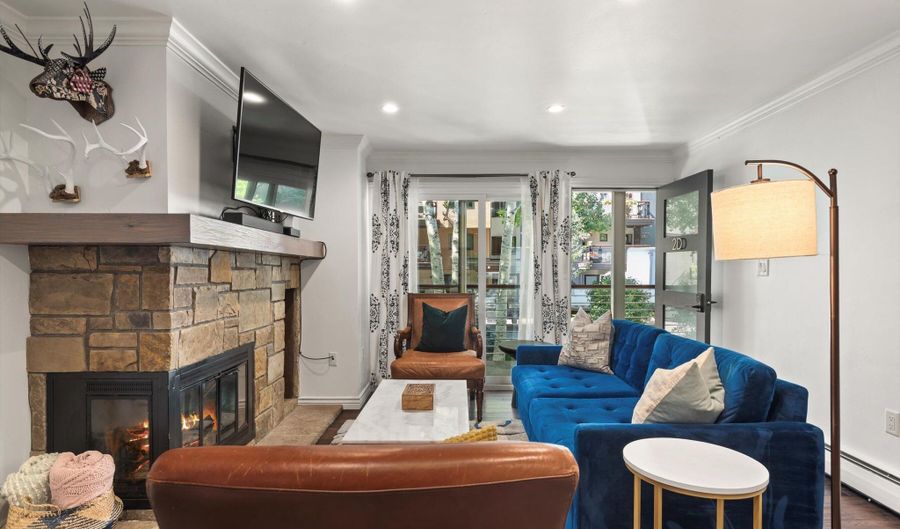 100 E Dean St 2D, Aspen, CO 81611 - 2 Beds, 2 Bath