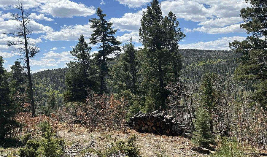 Lots 16 Lot17 Palo Flechado Ridge Road, Angel Fire, NM 87710 - 0 Beds, 0 Bath