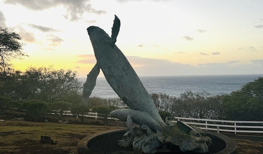 56-2929 PUAKEA BAY Dr, Hawi, HI 96719 - 0 Beds, 0 Bath