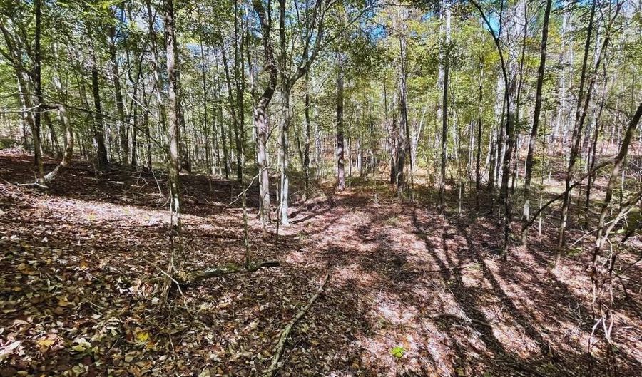 0 Hwy 8, Aberdeen, MS 39730 - 0 Beds, 0 Bath