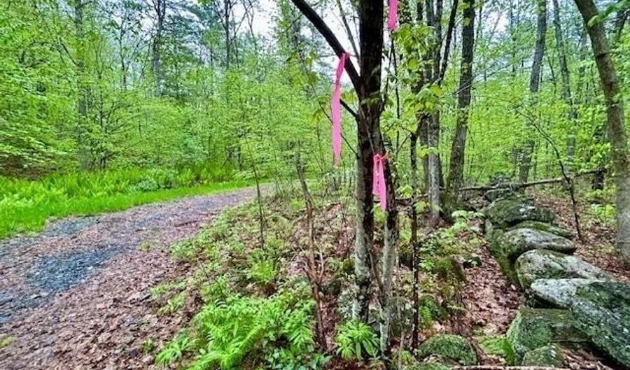 0 Off Langdon Rd, Charlestown, NH 03603 - 0 Beds, 0 Bath